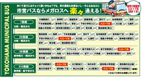 バス