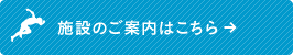 施設のご案内はこちら