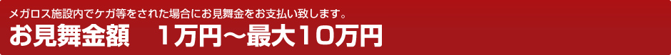 メガロス施設内でケガ等をされた場合にお見舞金をお支払い致します。お見舞金額　1万円～最大10万円