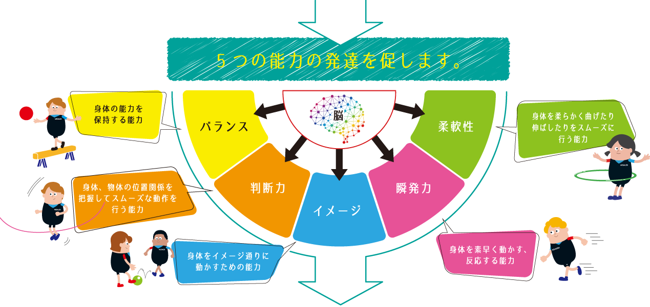 5つの能力が発達します!バランス、判断力、イメージ、瞬発力、柔軟性