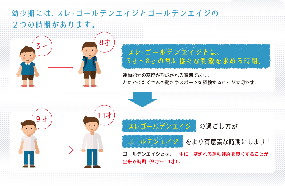 幼少期には、プレ・ゴールデンエイジとゴールデンエイジの2つの時期があります。