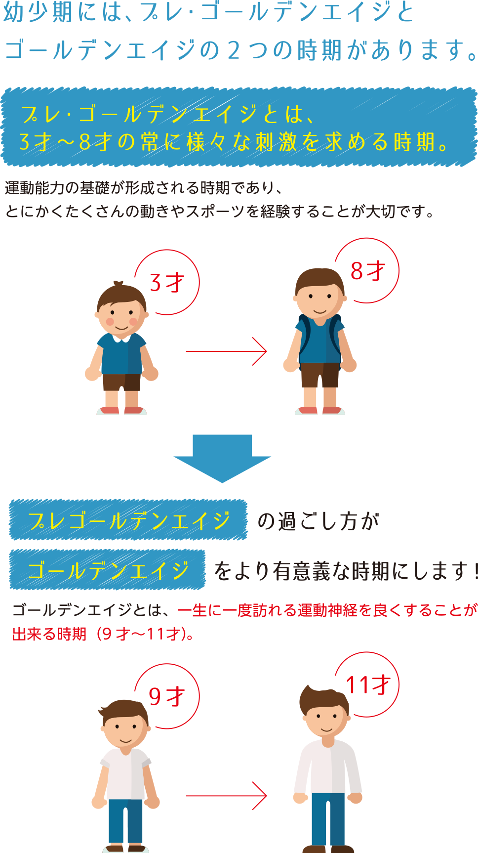 幼少期には、プレゴールデンエイジとゴールデンエイジの2つの時期があります。