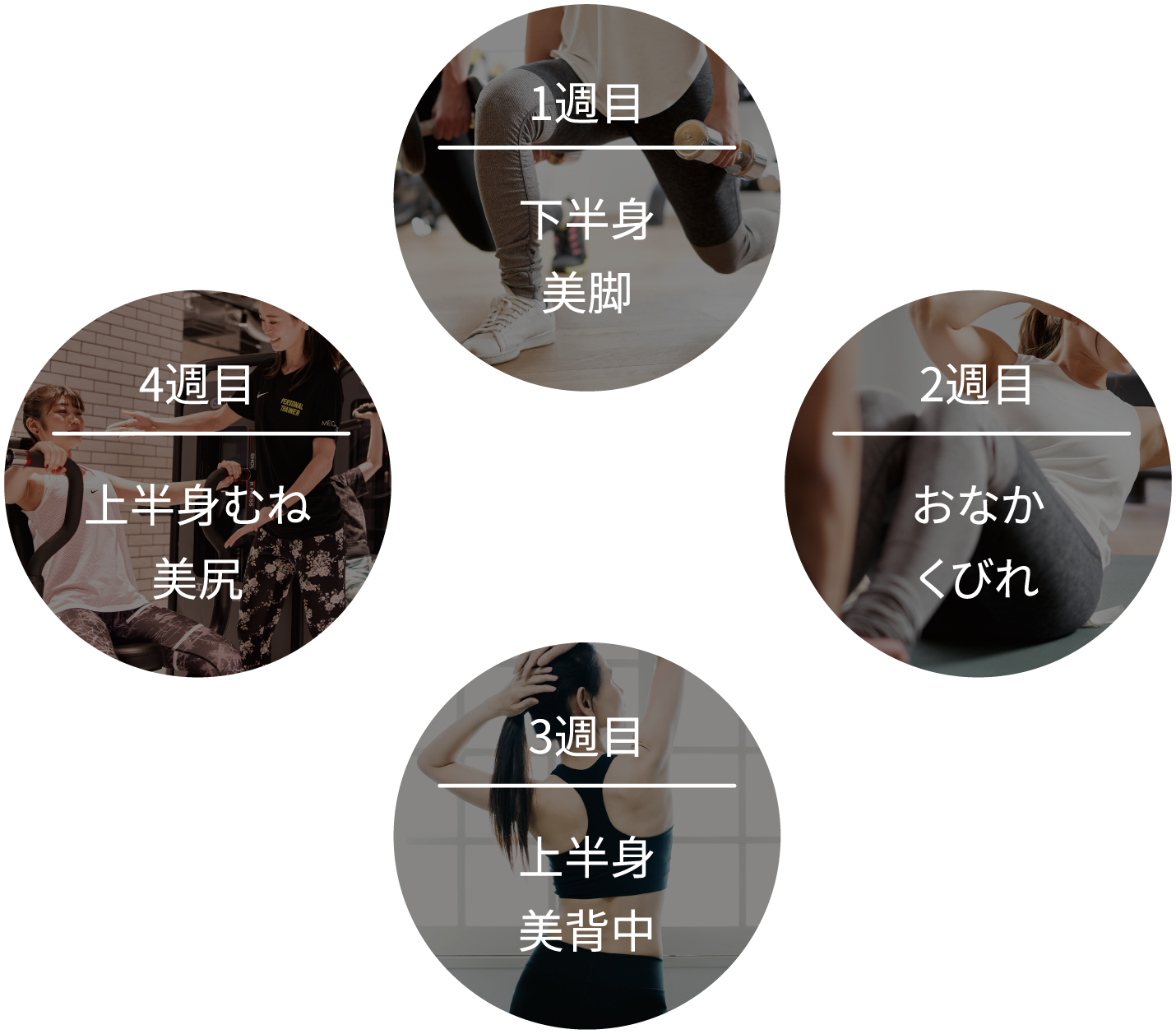 トレーニング内容