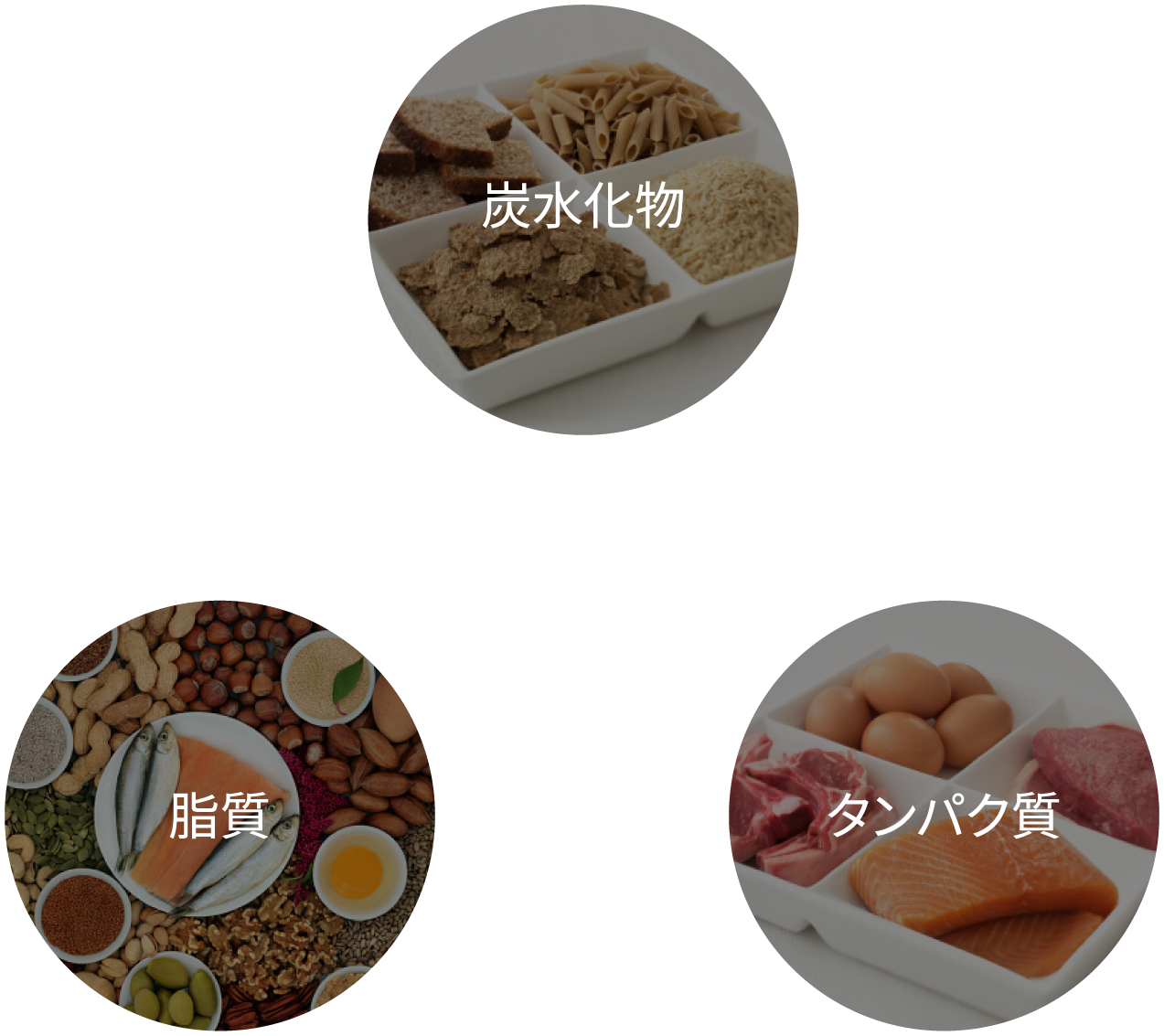 食事アドバイス