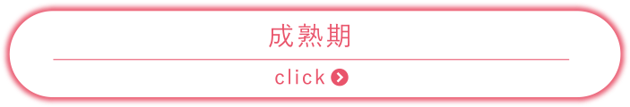 成熟期