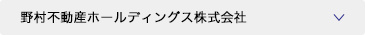 野村不動産ホールディングス