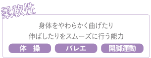 柔軟性